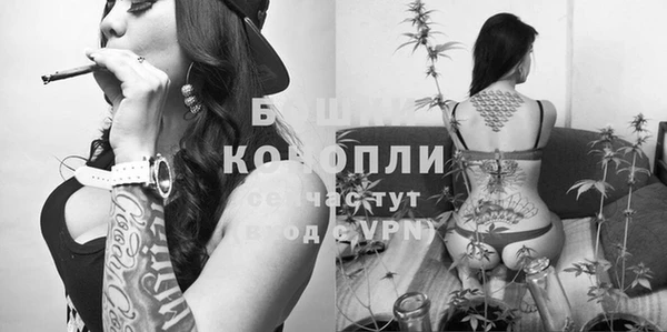 spice Алексин