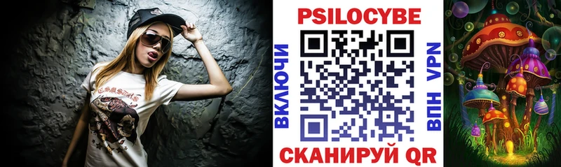 площадка формула  Зеленодольск  Галлюциногенные грибы Cubensis 