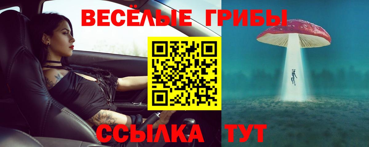 Галлюциногенные грибы Psilocybe  Вход с VPN  Зеленодольск  как найти наркотики  Галлюциногенные грибы мухоморы 
